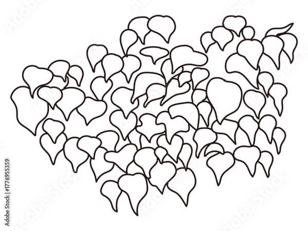 Fototapeta 外構・庭植栽のイラスト