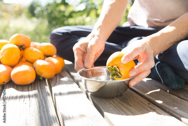 Obraz 柿の渋抜き