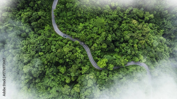 Fototapeta Aerial view of a winding road curving through lush green tropical forest with misty atmosphere. Scenic mountain highway surrounded by dense jungle and natural landscape.