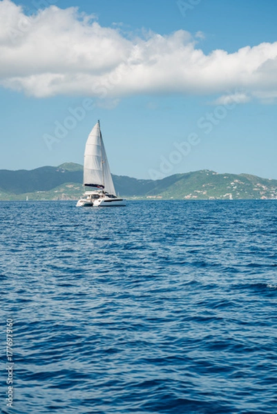Obraz sailboat in the sea