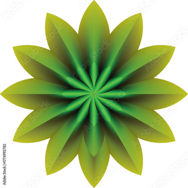 Fototapeta Vibrant green fractal flower with intricate feather like petals