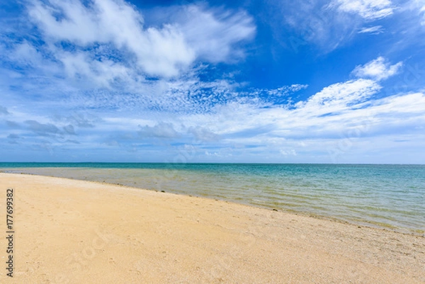 Fototapeta 沖縄の海