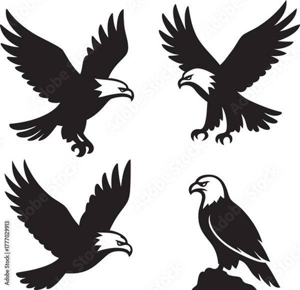 Fototapeta Eagle Silhouette On White Background