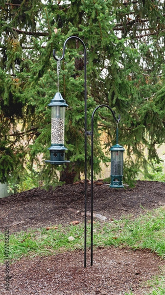 Obraz Shepherds Hooks with Bird Feeders