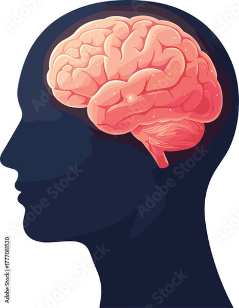Obraz Human brain anatomy vector—side profile with glowing cerebrum and cerebellum for neuroscience, psychology, and educational themes 