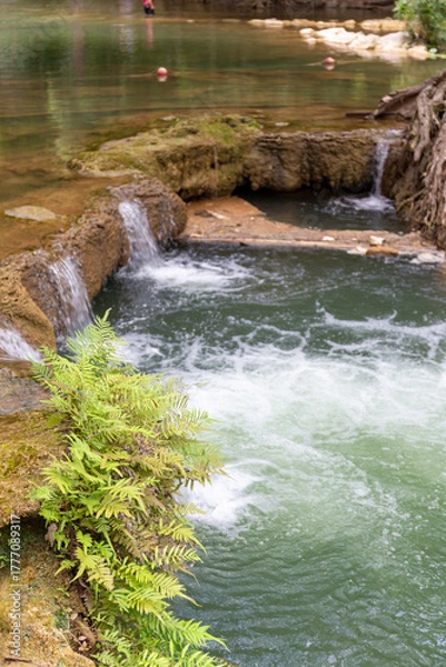 Fototapeta Cascading Water in Tropical Haven: Crystal clear water flows over mossy rocks, creating a refreshing oasis. A vibrant fern stands in the foreground, painting a scene of serene beauty.