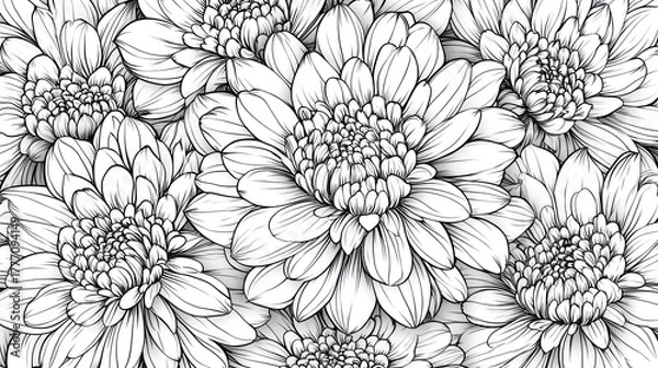 Obraz Monochrome chrysanthemum floral pattern, seamless design, background, textile print