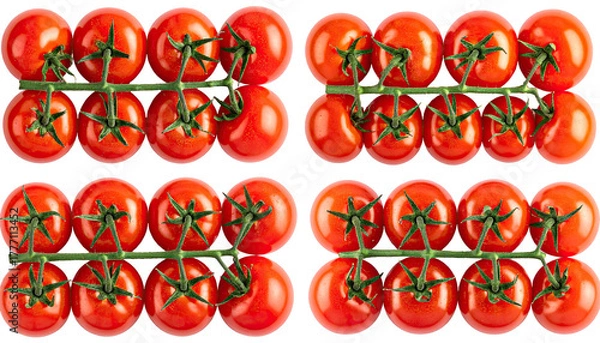 Fototapeta Cluster of vine tomatoes, bright red, symmetrical, fresh produce