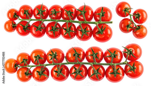 Fototapeta Two trusses of vibrant red cherry tomatoes on a dark surface