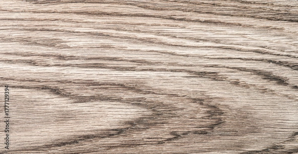 Obraz Vintage Wood Texture Background