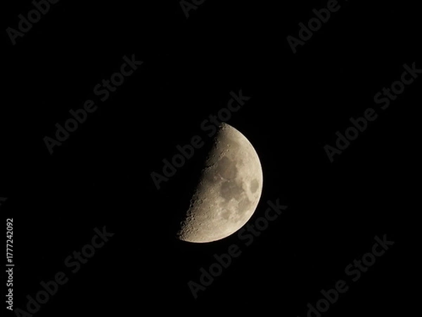 Obraz ８月の半月