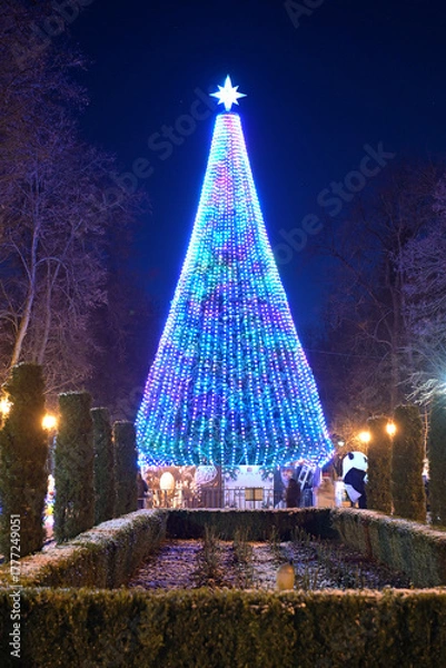 Fototapeta Christmas tree lights in the park