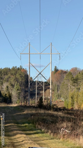 Fototapeta high voltage power lines on a sunny day in the autumn forest