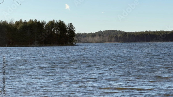 Fototapeta A lake on a clear, windy day in autumn