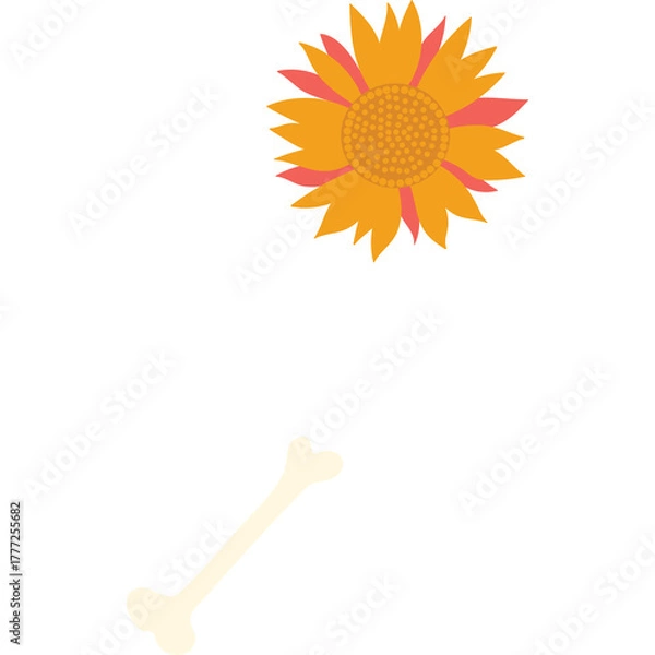 Obraz Orange and yellow sunflower illustration with a cream colored bone graphic on a transparent background suitable for children's themes and creative designs