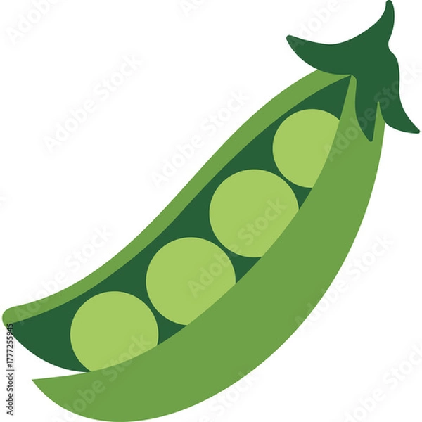 Obraz Open Green Pea Pod with Four Round Peas Inside Against a Transparent Background Detailed Vegetable Illustration Healthy Food Ingredient