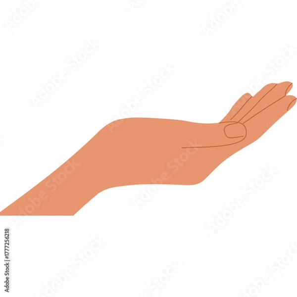 Fototapeta Open Left Hand Palm Facing Up In A Light Peach Skin Tone With Subtle Finger Details Against A White Background Representing Giving Receiving Or Support