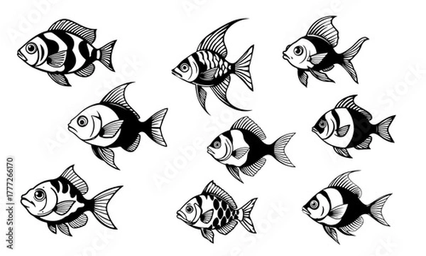 Obraz Set of tropical fish in black and white vector style, detailed aquarium species illustrations, marine design, underwater wildlife art, fish vector, tropical fish, aquarium illustration