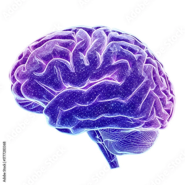 Obraz Glowing purple and blue digital brain with network connections on black human brain technology