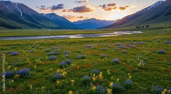 Obraz Vast Mountain Valley Meadow with Wildflowers and River at Sunset.