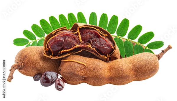 Obraz Tamarind pods, one split open, with dark pulp and green leaves