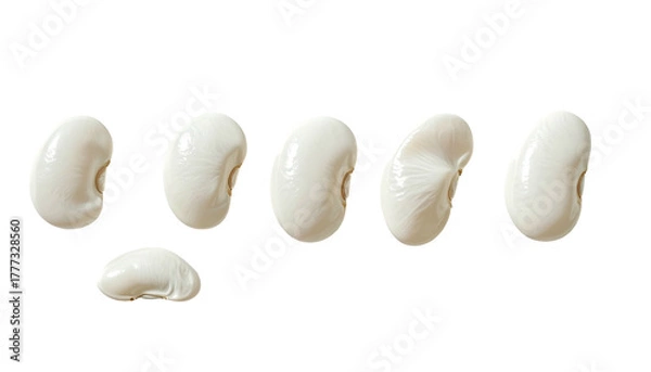Fototapeta Seven smooth, white lima beans arranged on a black background