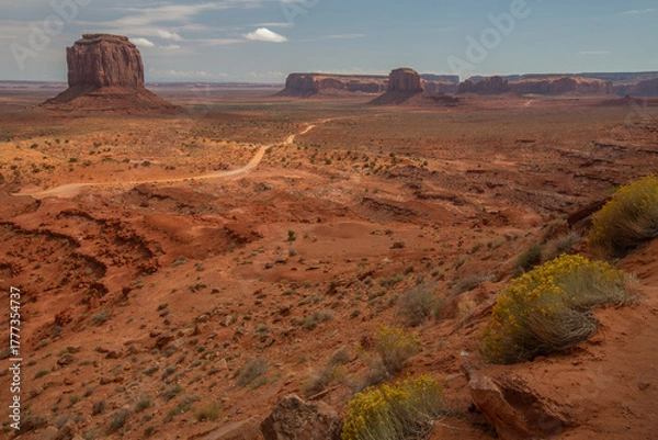 Fototapeta National parks usa southwest area of giant rock formations and table mountains in Monument Valley
