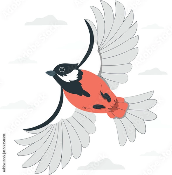 Obraz Bird in Flight with Wings Spread Against Cloudy Sky flying