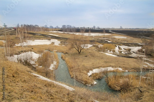 Fototapeta snow thaws in field and  stream runs .spring has come