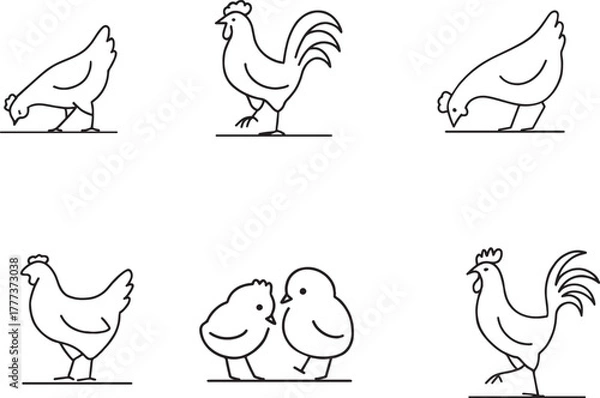 Fototapeta Poultry Farm Icon Set: Rooster, Hen, and Chicks Line Art Illustrations