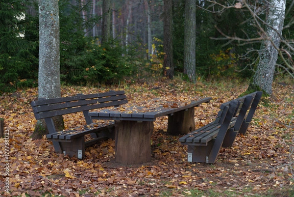 Obraz bench in autumn park