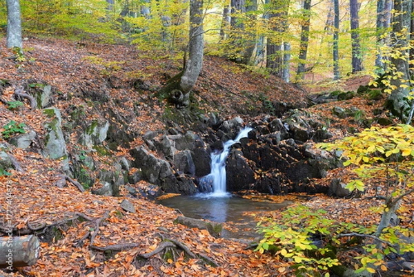 Obraz Waterfall in the forest in autumn