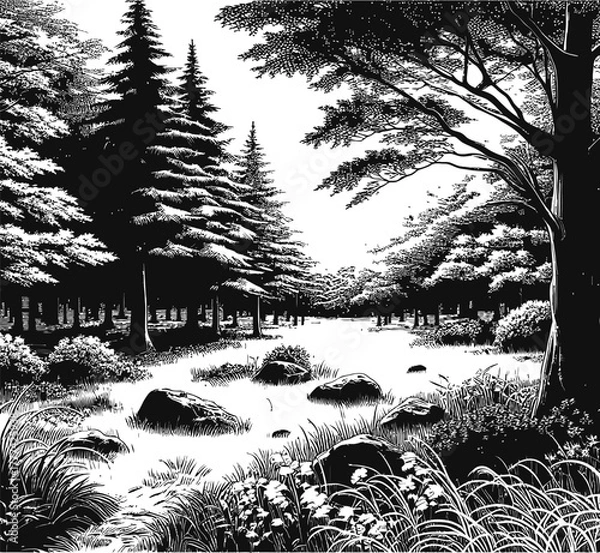 Obraz A black and white illustration of a forest scene. Tall pine trees dominate the background with a stream flowing through rocks in the foreground. Lush vegetation and undergrowth fill the landscape.