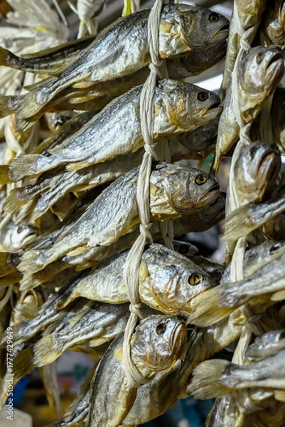 Obraz 줄에 묶인 여러 마리의 굴비들 