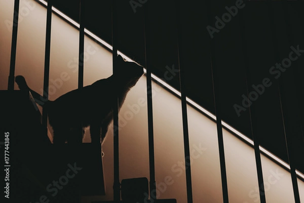 Fototapeta A cat walking down stylish wooden stairs in a cozy home interior with soft warm lighting. Minimalist architecture, modern design, calm evening atmosphere Lifestyle blogs, home decor and comfort living
