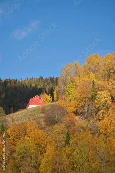 Fototapeta Colorful autumn landscape with hills, forest and red house under blue sky