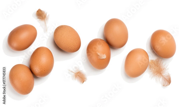 Obraz Jaja kurze, widok powyżej.