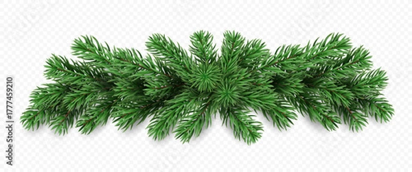 Fototapeta Vector realistic pine tree branches isolated on a transparent background. Holiday Christmas tree garland for winter decoration banner, poster, greeting card.