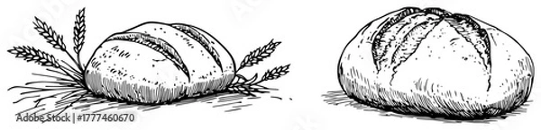 Obraz Loaf of Bread Hand Drawn Sketch Vintage Bakery Vector Illustration Set