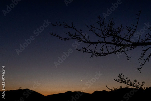 Obraz 朝方の風景