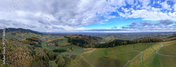 Obraz Vignes en automne
