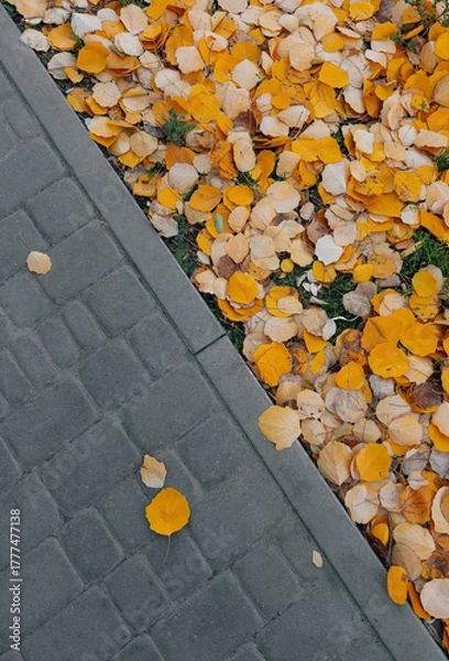 Fototapeta High-angle view of a thick layer of colorful autumn leaves scattered across bright green grass. Perfect as a background or texture for seasonal designs, banners, or fall themes.