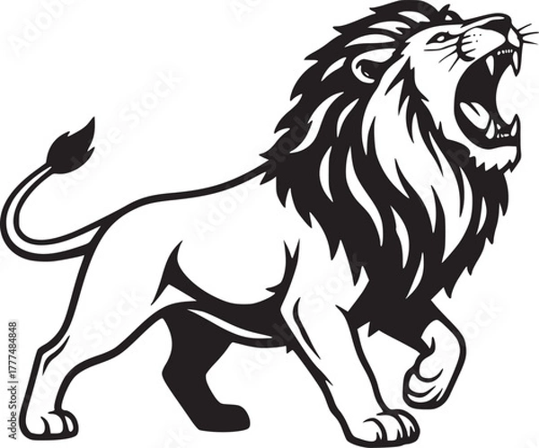 Obraz Aggressive tiger standing side view, symbol of strength and dange