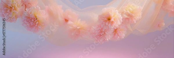 Fototapeta パステルカラーのグラデーション背景に浮かぶ 優雅なピンクの花と軽やかなチュールのコンポジション