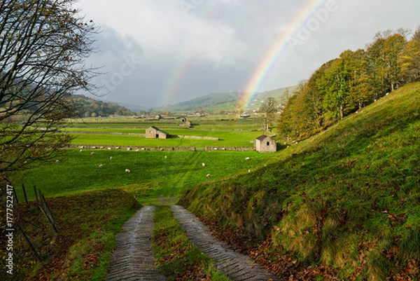 Obraz Double Rainbow