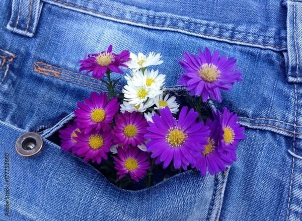 Fototapeta bouquet d'asters coloré dans poche en jean
