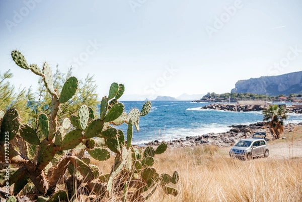 Fototapeta Coastal Road With Cactus And Ocean View Sicily