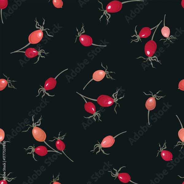 Obraz Red-orange dog rose hips isolated on dark background. Seamless vector pattern