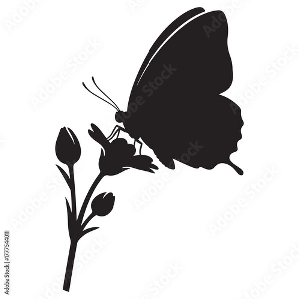 Fototapeta Butterfly silhouette perched on flower bud, simple botanical icon, black and white vector clipart