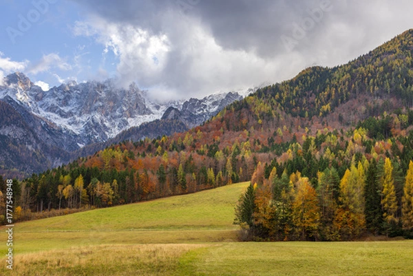 Fototapeta vibrant alpine valley in autumn with forested hills and mountain range view. autumn landscape. fall colors, autumn forest. fall backdrop